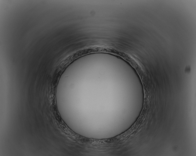 X0000090441015200707131026