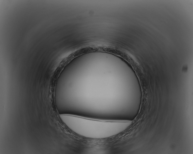 X0000090441016200707131026
