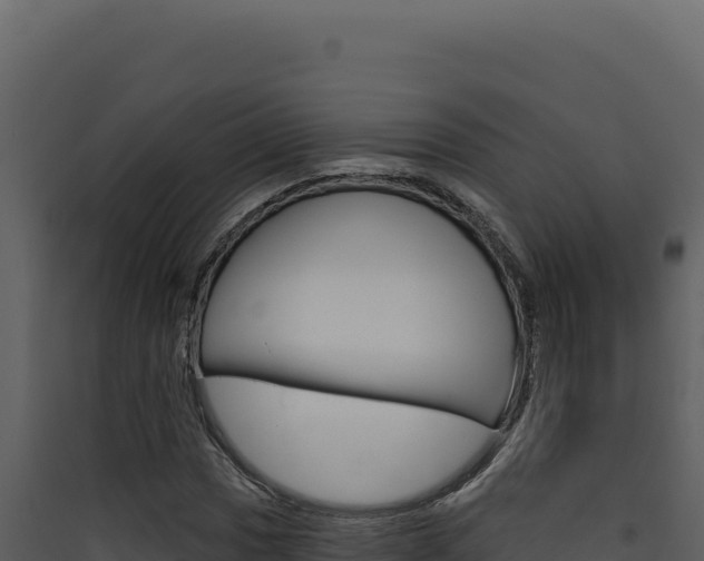 X0000090441017200707131026