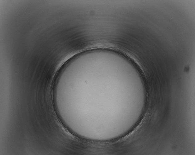 X0000090441018200707131026