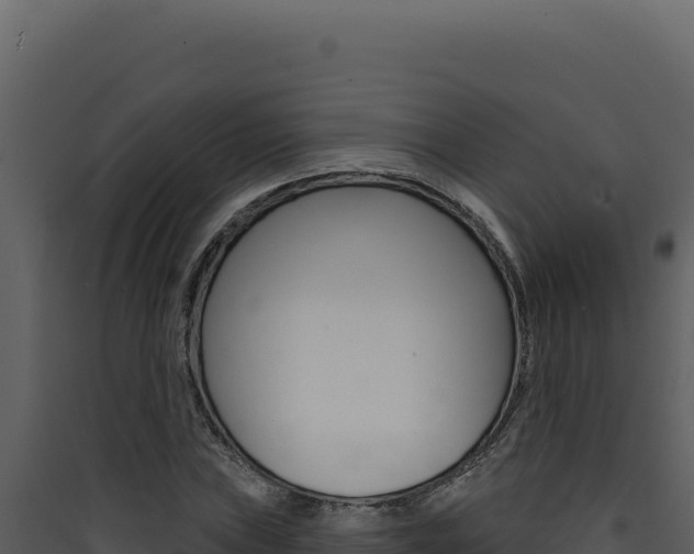 X0000090441019200707131026