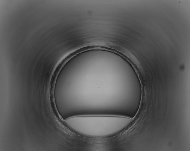 X0000090441020200707131026