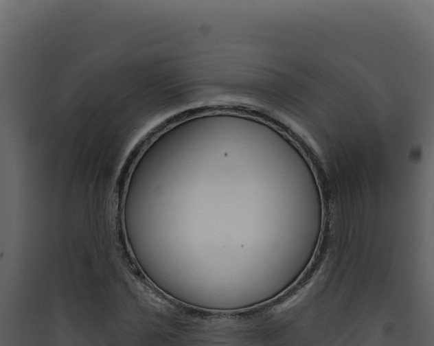 X0000090441021200707131026