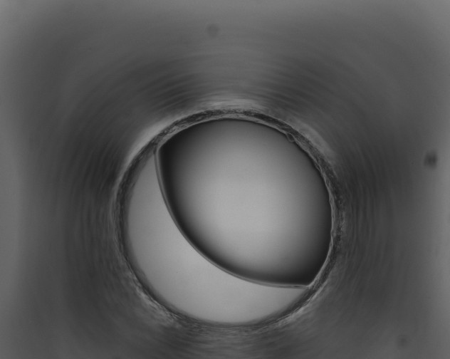 X0000090441022200707131026