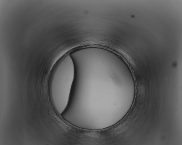 X0000090441023200707131026