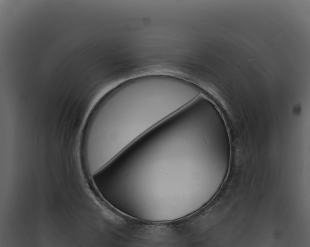 X0000090441024200707131026