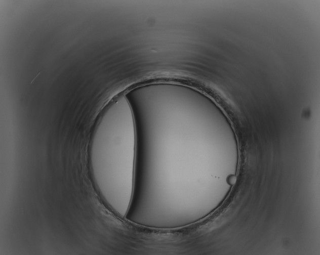 X0000090441025200707131026