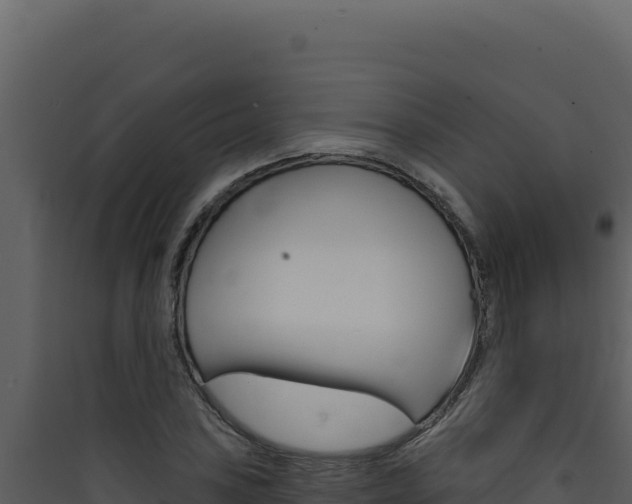 X0000090441027200707131026