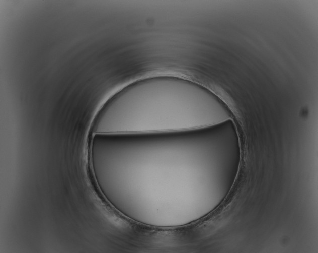 X0000090441028200707131026