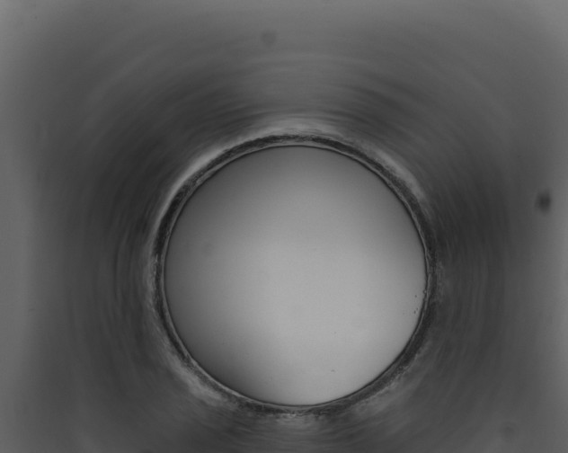 X0000090441029200707131026
