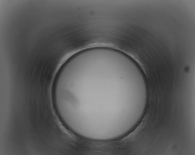 X0000090441030200707131026