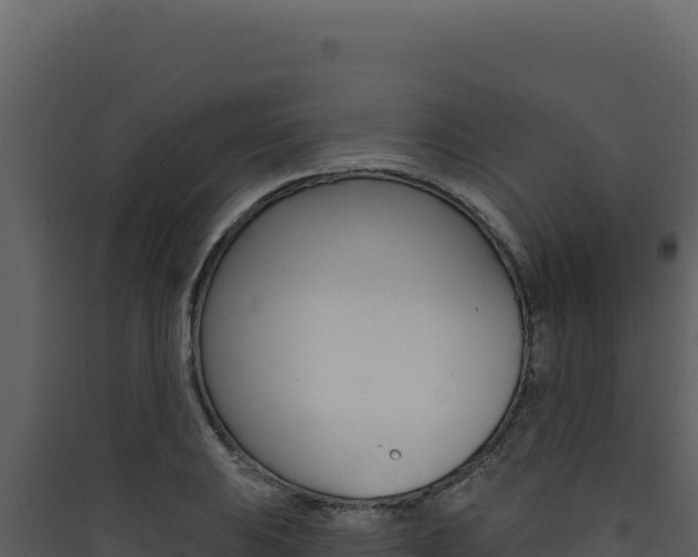 X0000090441031200707131026