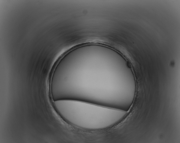 X0000090441032200707131026