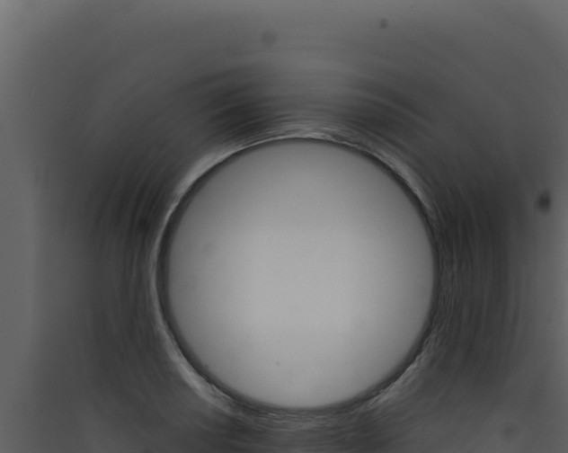 X0000090441034200707131026