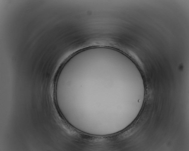 X0000090441035200707131026