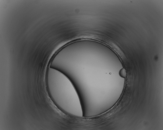X0000090441036200707131026