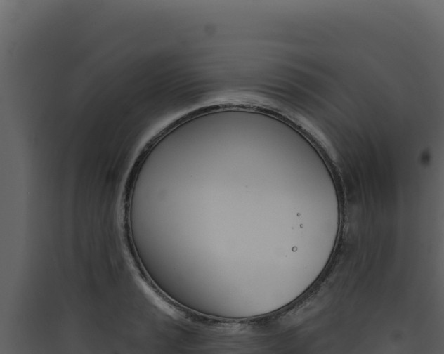 X0000090441037200707131026
