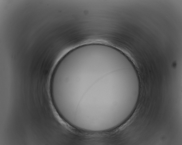 X0000090441038200707131026