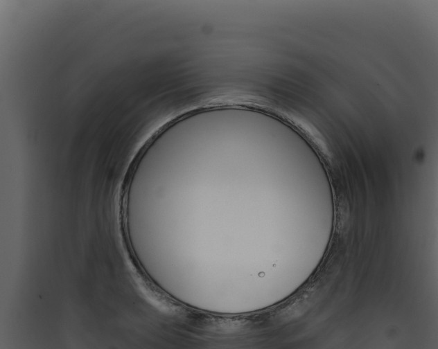 X0000090441039200707131026