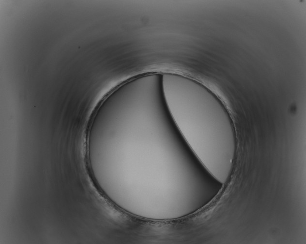 X0000090441040200707131026