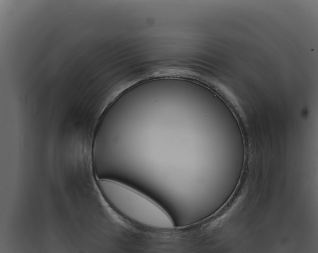 X0000090441041200707131026