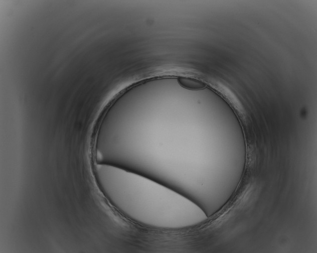 X0000090441043200707131026