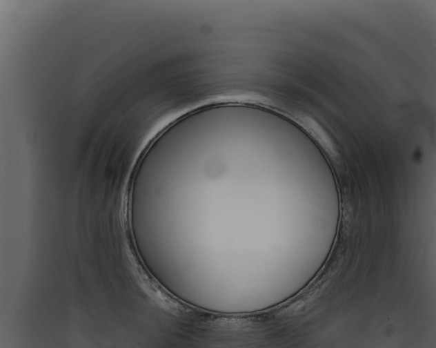 X0000090441044200707131026