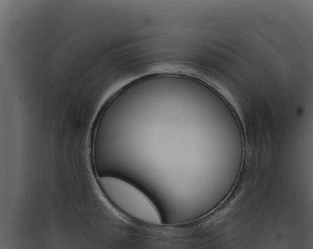 X0000090441045200707131026