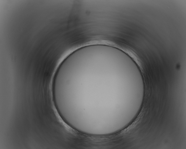 X0000090441046200707131026