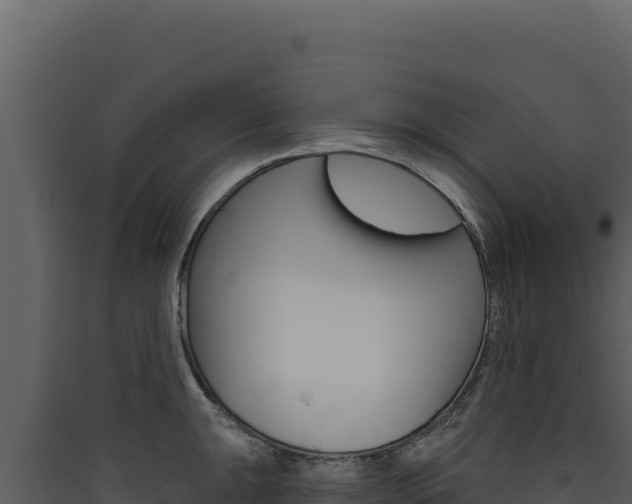 X0000090441047200707131026