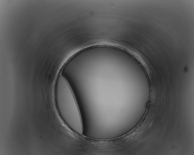 X0000090441048200707131026