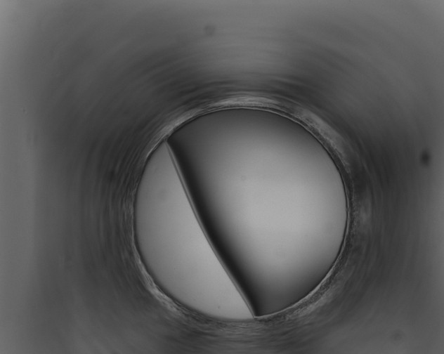 X0000090441049200707131026