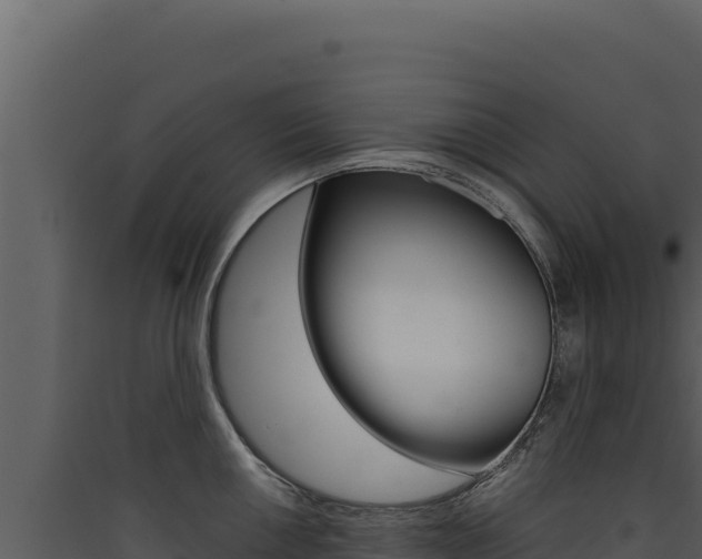 X0000090441050200707131026