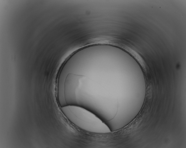 X0000090441051200707131026