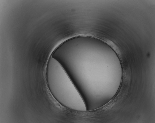 X0000090441052200707131026