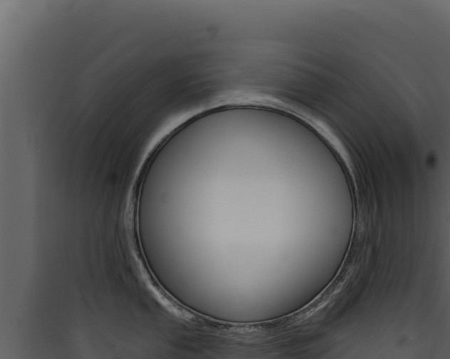 X0000090441053200707131026