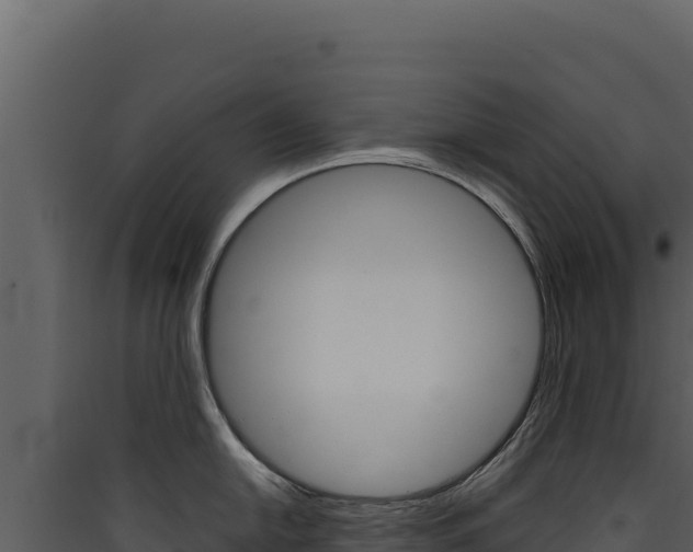 X0000090441054200707131026
