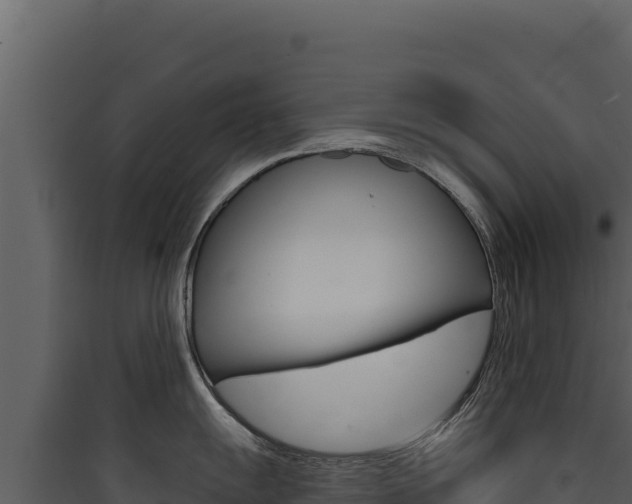 X0000090441055200707131026