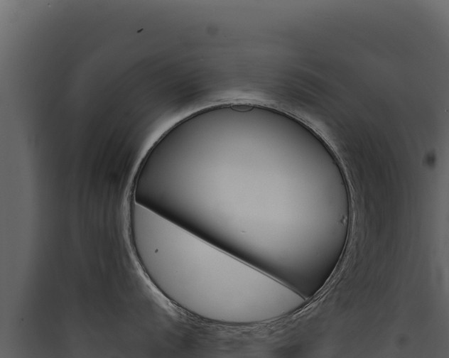 X0000090441056200707131026