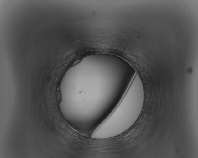 X0000090441057200707131025