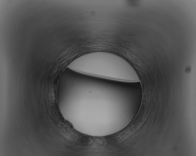 X0000090441058200707131025