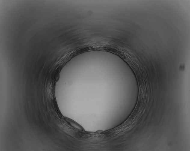 X0000090441060200707131025