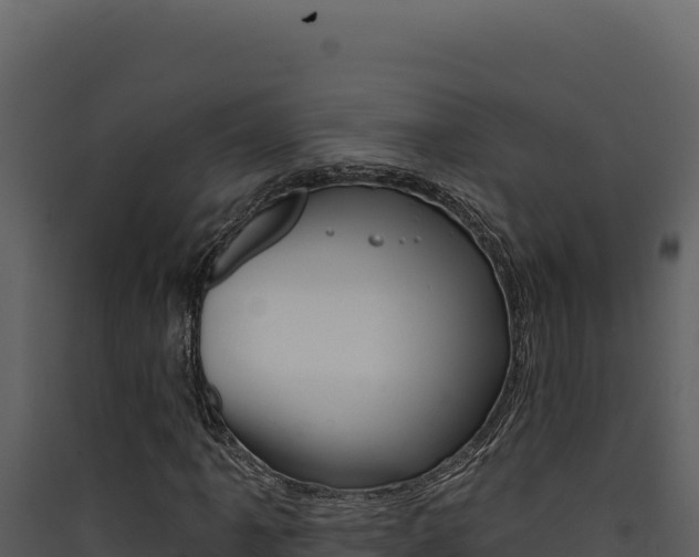 X0000090441061200707131025