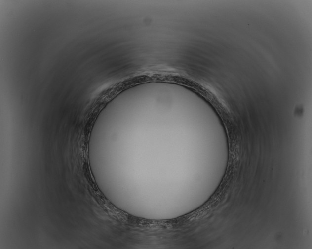 X0000090441063200707131025