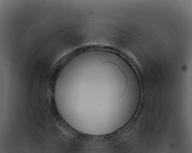X0000090441064200707131025