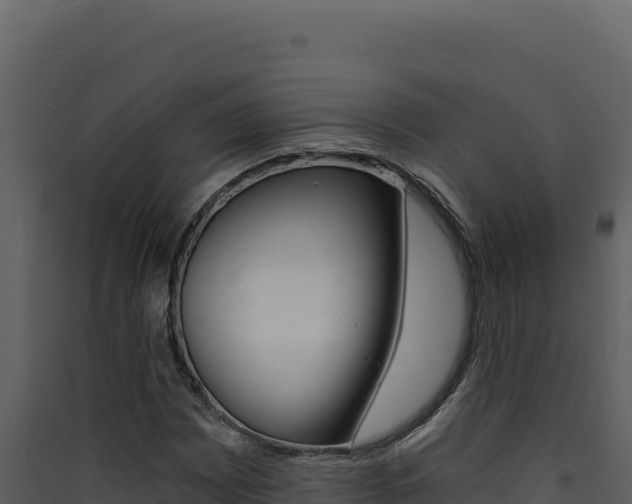 X0000090441065200707131025