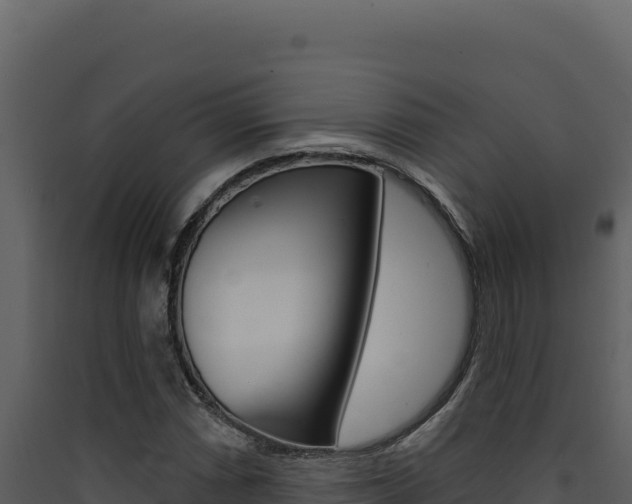 X0000090441066200707131025