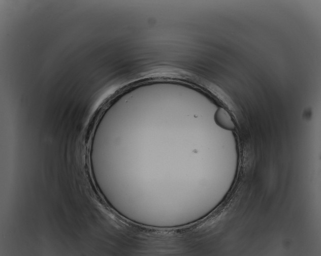 X0000090441067200707131025