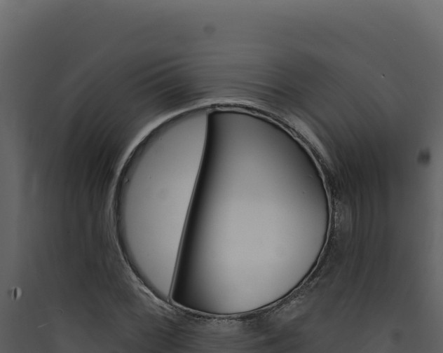 X0000090441068200707131025