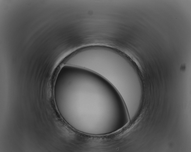 X0000090441069200707131025